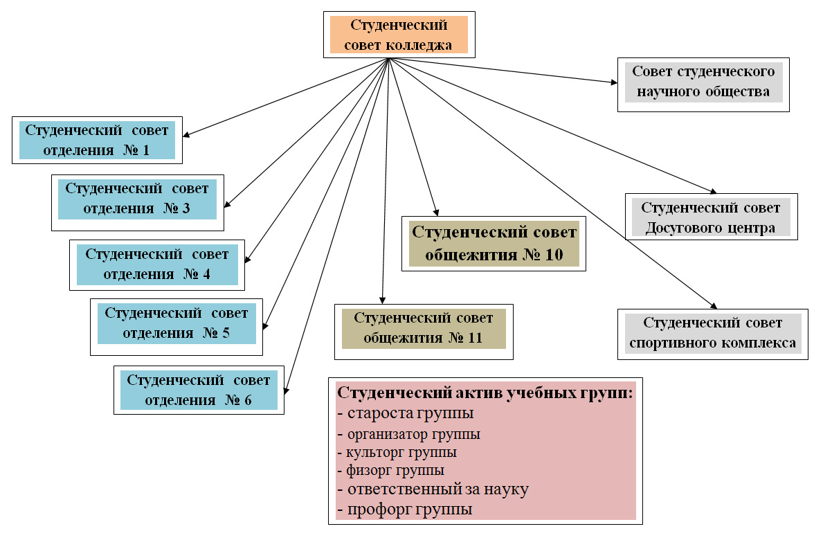 Какие есть группы в колледже. Должности студенческого совета. Структура студенческого совета. Студенческий Актив структура.